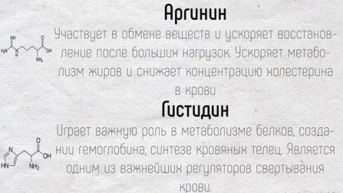 Краткое описание основных функций, которые выполняют аминокислоты в нашем организме. 04