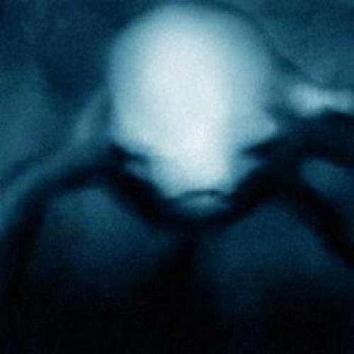 Нинген (букв.  Человек - странные гуманоиды из Антарктиды. 01 Нинген (букв.  Человек - странные гуманоиды из Антарктиды. 01