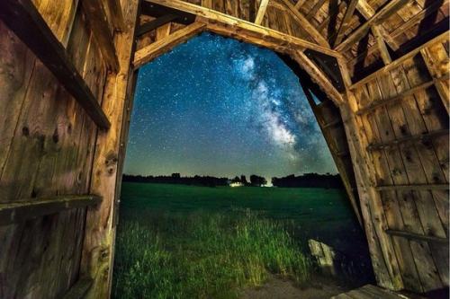 45-Летний Стивен ипполито регулярно снимает млечный путь и был приятно удивлен, обнаружив на одной из идеальных фотографий тюленя. 01