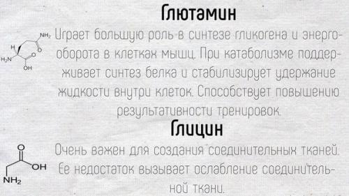 Краткое описание основных функций, которые выполняют аминокислоты в нашем организме. 07