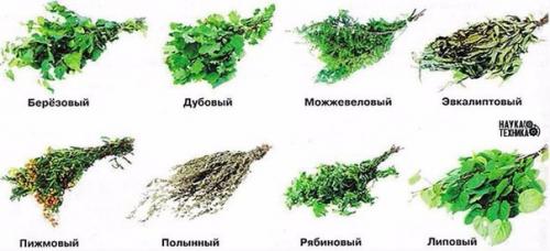 Банные веники и их полезные свойства. 

