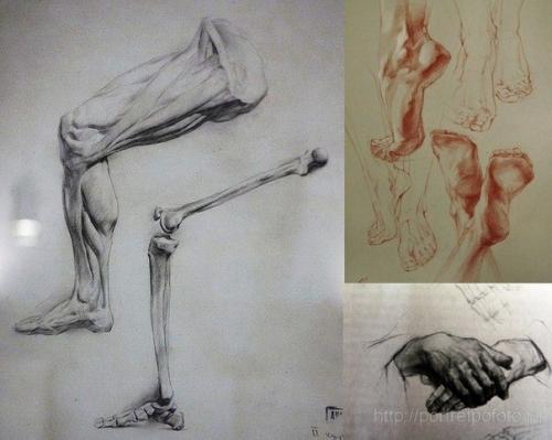 Академический рисунок ног и рук. 02