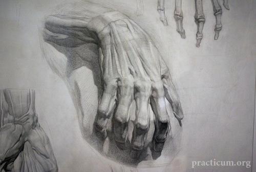 Академический рисунок ног и рук. 01