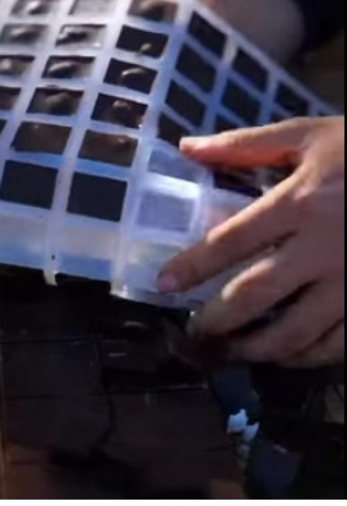 Хотя шоколад не является традиционным продуктом Китая, его популярность быстро растёт. 01