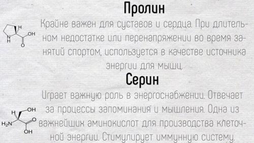 Краткое описание основных функций, которые выполняют аминокислоты в нашем организме. 08
