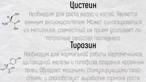 Краткое описание основных функций, которые выполняют аминокислоты в нашем организме. 05