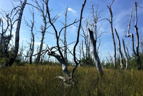 Склон Бешеных Молний. 07