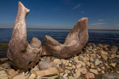 Древний город на анабарском плато. 06