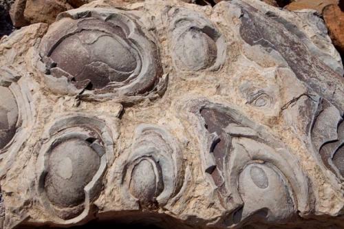 Древний город на анабарском плато. 07