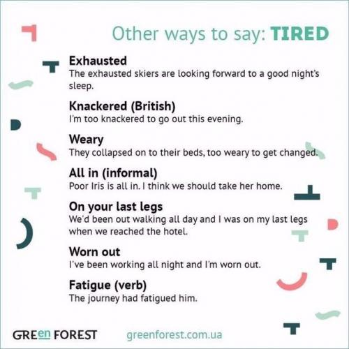 Мы расширяем словарный запас. 05