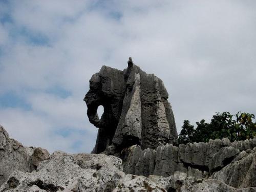 Китай. Шилинь (Shilin). 05 Китай. Шилинь (Shilin). 05