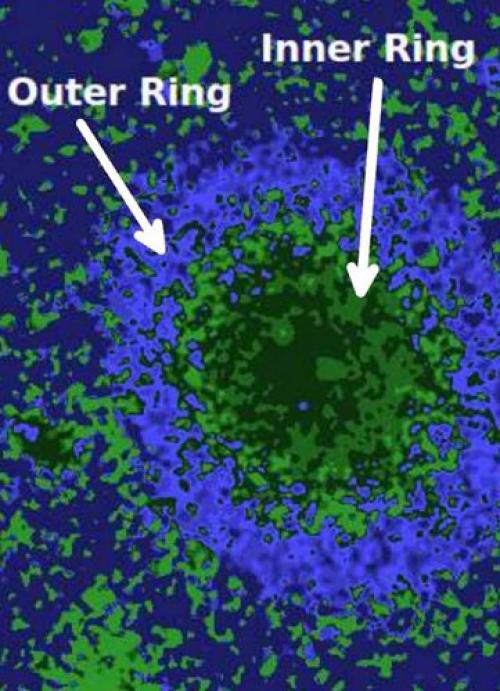 Исследователи впервые описали крайне редкую галактику. 02 Исследователи впервые описали крайне редкую галактику. 02