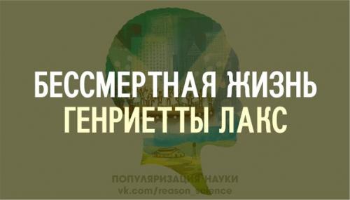 Кто имеет право на наше тело, или его части, или биоматериал, взятый для анализов: мы, врачи, ученые. Кто имеет право на наше тело, или его части, или биоматериал, взятый для анализов: мы, врачи, ученые.