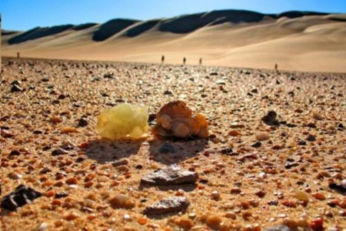 Тайна ливийского стекла. 01 Тайна ливийского стекла. 01