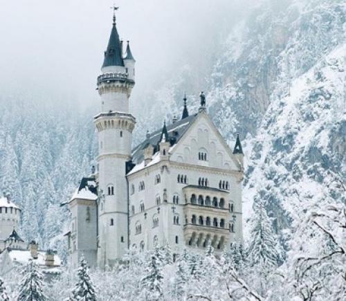 Да у них орех лучше чем у всех моих подруг. 03