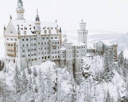 Да у них орех лучше чем у всех моих подруг. 02