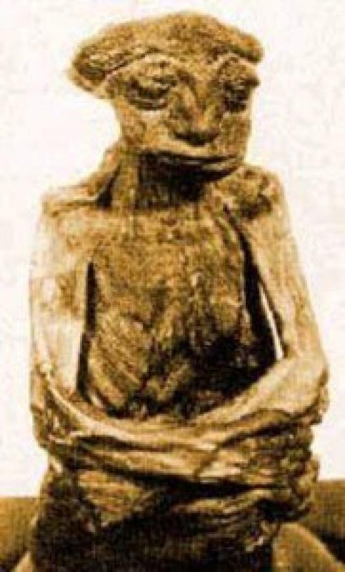 Тайна карлика педро. 
