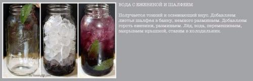Рецепты приготовления полезной и вкусной воды из фруктов и трав. 03 Рецепты приготовления полезной и вкусной воды из фруктов и трав. 03
