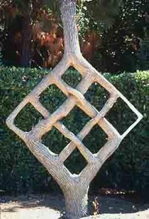 Аксель эрландсон (Axel Erlandson) (1884 - 1964) был необычным фермером, который заставлял расти деревья по его собственному дизайну. 03