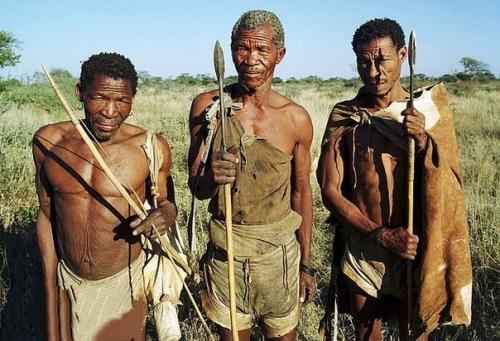 Колыбель Человечества обнаружили в болотах Ботсваны. 02 Колыбель Человечества обнаружили в болотах Ботсваны. 02