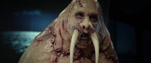 Эволюция превратит человека в тюленя, - исследователь. Эволюция превратит человека в тюленя, - исследователь.