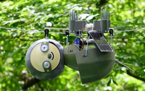 Kaк выглядят роботы - ленивцы. 02