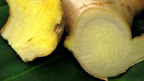 Биология противопростудный и болеутоляющий имбирь.

