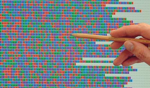 Семилетний проект по расшифровке генома человека завершился. Семилетний проект по расшифровке генома человека завершился.