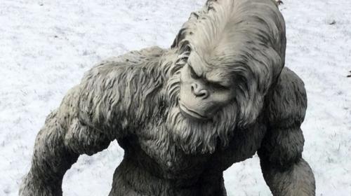 Неизвестное человекоподобное существо из аризоны. 01 Неизвестное человекоподобное существо из аризоны. 01