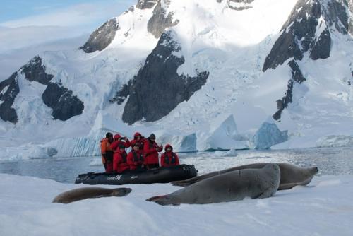 Ученые из глубин Антарктиды древний лед с уникальными образцами подняли.
