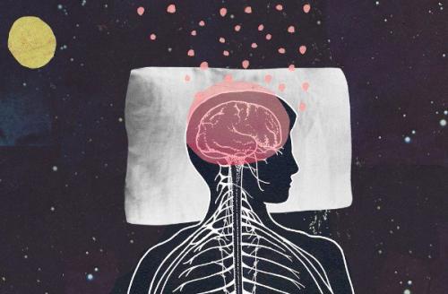 В головном мозге нашли Выключатель сновидений.