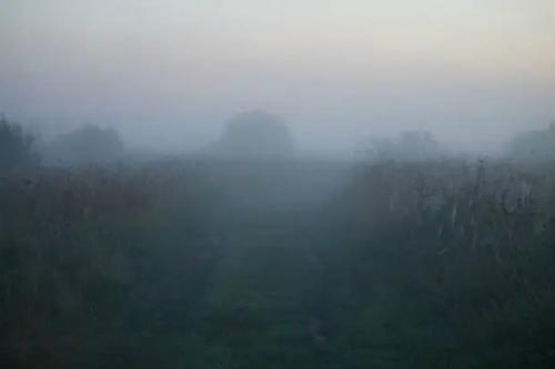 Мистические загадки плещеева озера. 01 Мистические загадки плещеева озера. 01