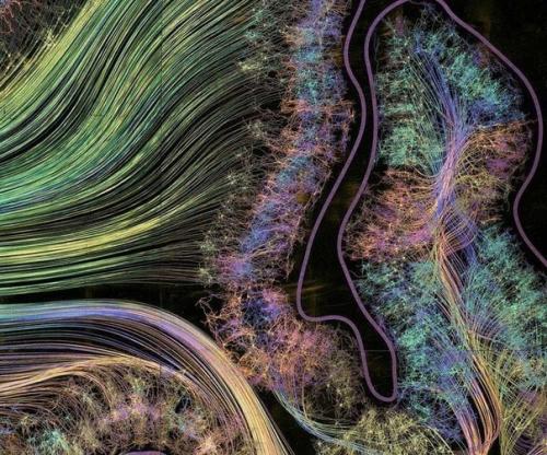 Вот так выглядят ваши мысли на картинке. 05