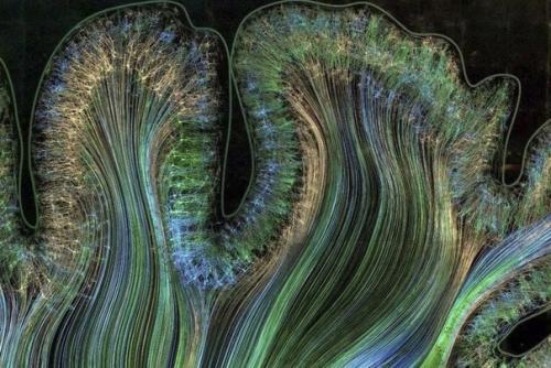 Вот так выглядят ваши мысли на картинке. 01