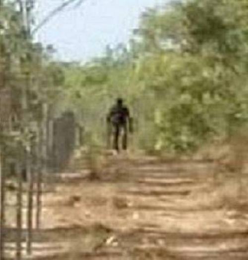 Йови - австралийский снежный человек. 01