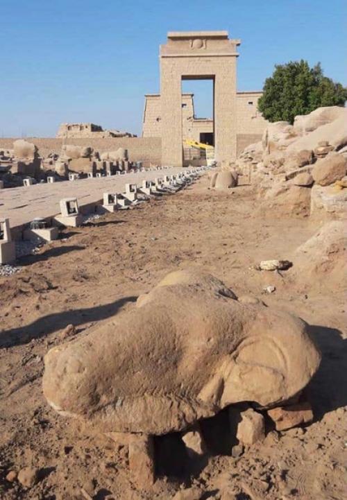 В Египте нашли три головы поврежденных криосфинксов карнакского храмового комплекса. 03