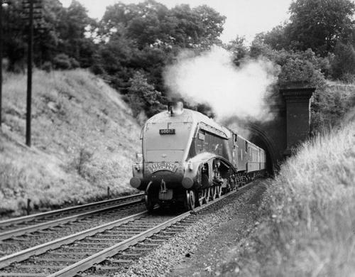 Паровоз, обогнавший время. 03