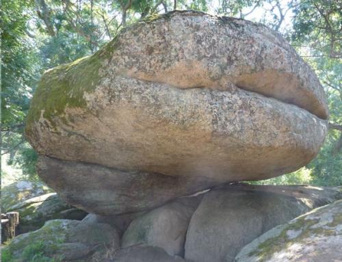 Тайны беглик - Таш. 01