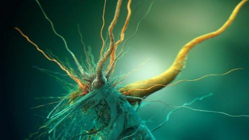 Обнаруженные в АНТАРКТИДЕ бактерии могут иметь внеземное происхождение. Обнаруженные в АНТАРКТИДЕ бактерии могут иметь внеземное происхождение.