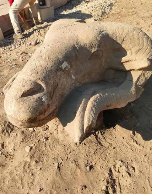 В Египте нашли три головы поврежденных криосфинксов карнакского храмового комплекса. 02