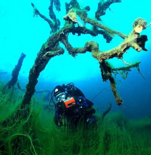 Голубое озеро (чирик - кёль) в Кабардино-балкарии. 03 Голубое озеро (чирик - кёль) в Кабардино-балкарии. 03