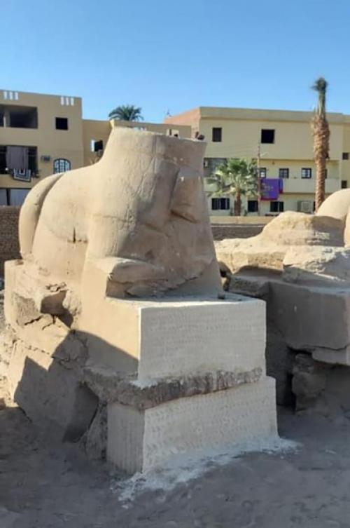 В Египте нашли три головы поврежденных криосфинксов карнакского храмового комплекса. 01