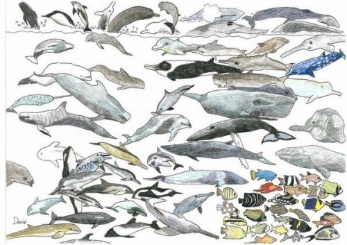 Искусство в себе: рисунки 10-летнего мальчика - аутиста Дэвида Барта. 01