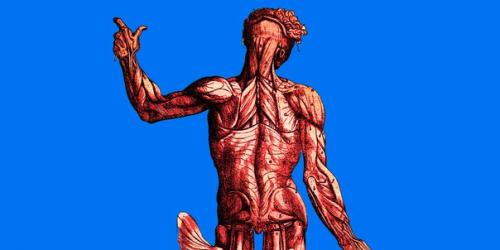 Подборка познавательных видео про организм человека: