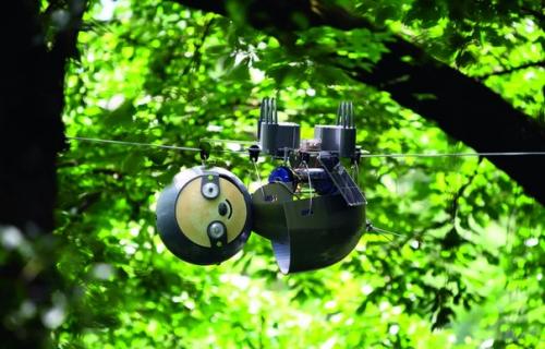 Kaк выглядят роботы - ленивцы. 01