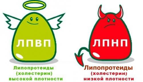 Всем кажется, что Холестерин - это как аппендикс.