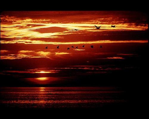 Изображения, которые отобрало наса, чтобы показать инопланетянам. 04