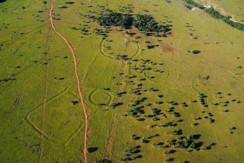 Амазонская загадка.  Таинственные древние Узоры на земле. 02