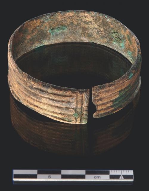 Загадка Скульптура Пришельца. 01