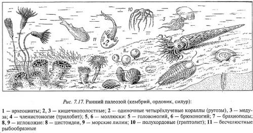 А был ли континент? 05